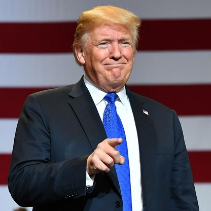 trump Donald Trump 2020